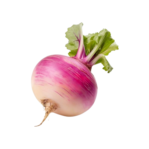 Vegetable